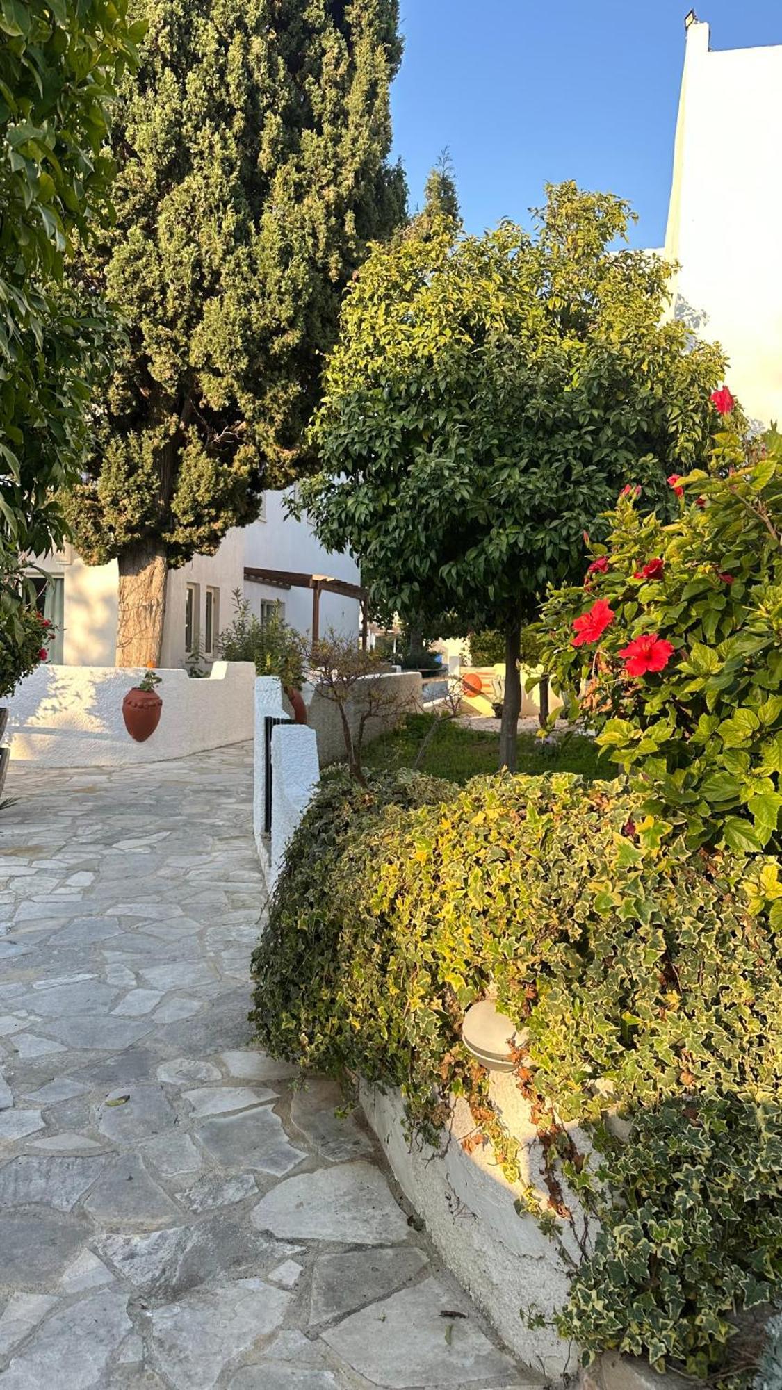 Paphos Gardens Studio Suite 外观 照片